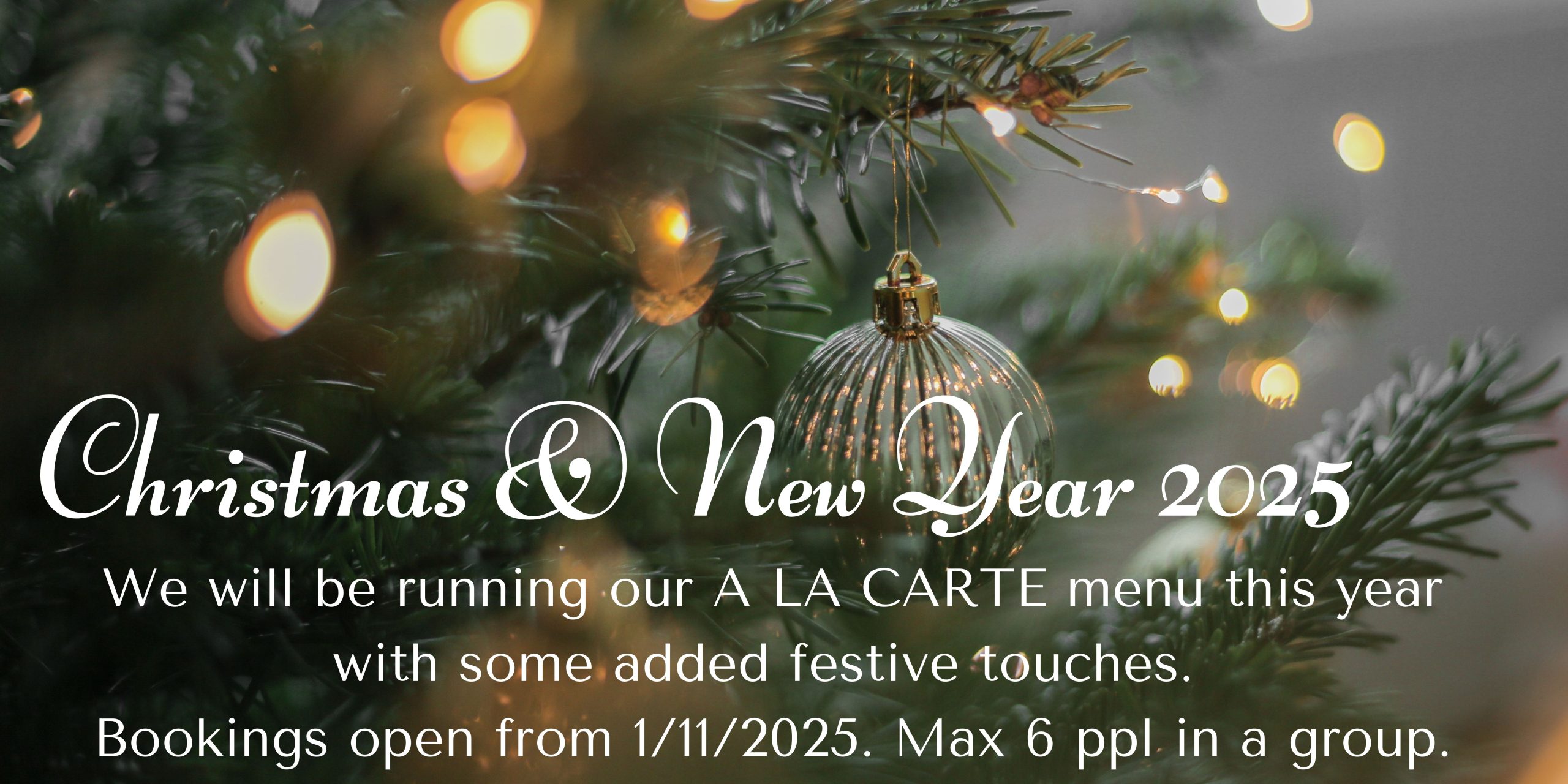 Dark Green One Photo Merry Christmas Banner-2